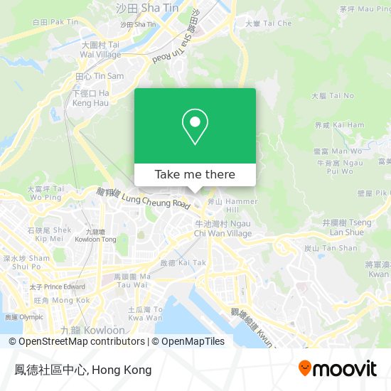 鳳德社區中心 map