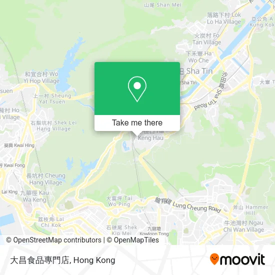 大昌食品專門店 map