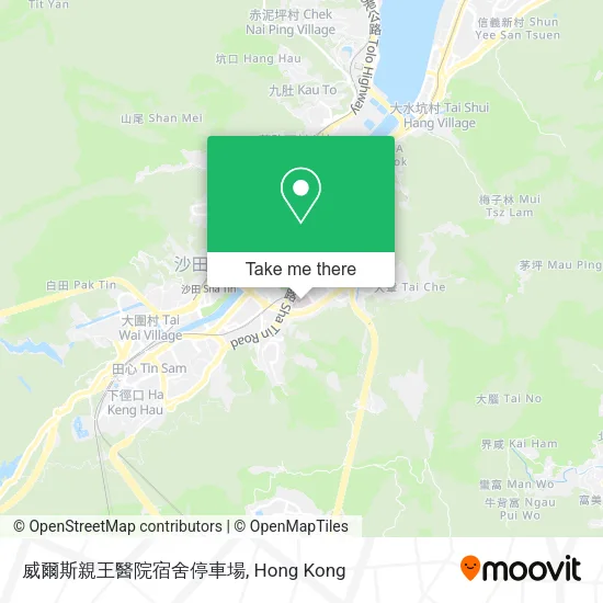 威爾斯親王醫院宿舍停車場 map