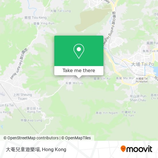 大菴兒童遊樂場 map