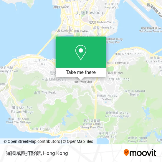 羅國威跌打醫館地圖