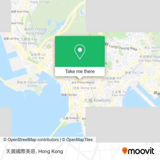 天麗國際美容地圖