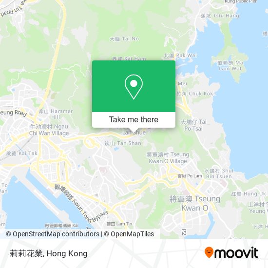 莉莉花業 map