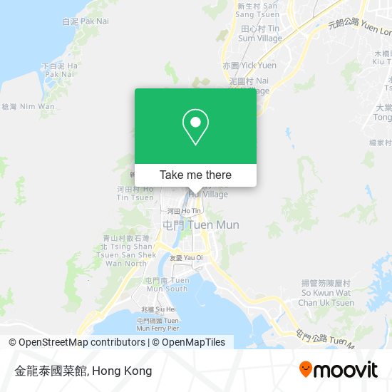 金龍泰國菜館 map