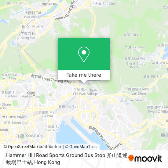 Hammer Hill Road Sports Ground Bus Stop 斧山道運動場巴士站 map