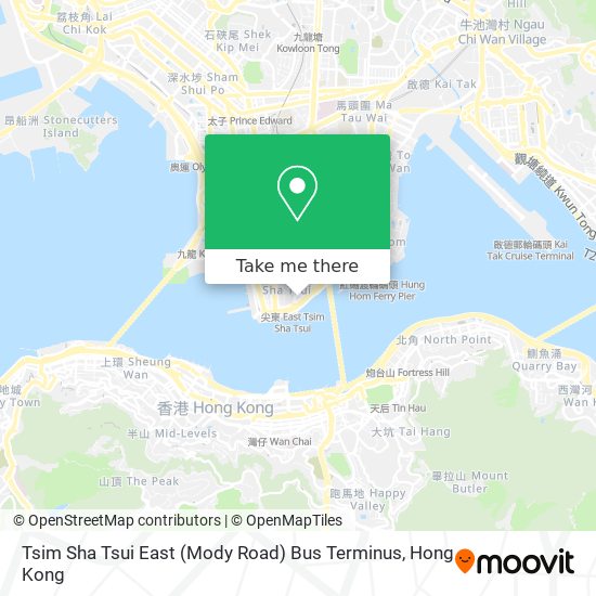 Tsim Sha Tsui East (Mody Road) Bus Terminus map