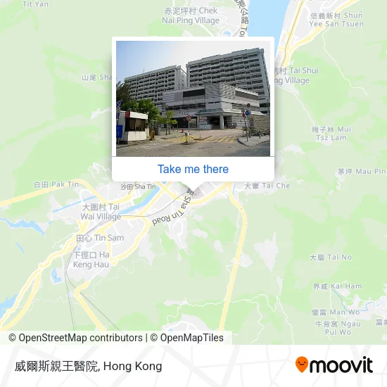 威爾斯親王醫院 map