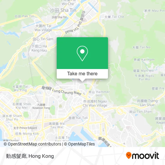 動感髮廊 map
