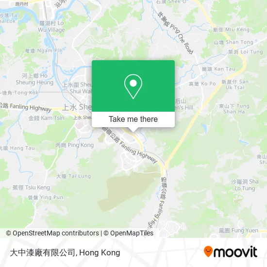 大中漆廠有限公司 map