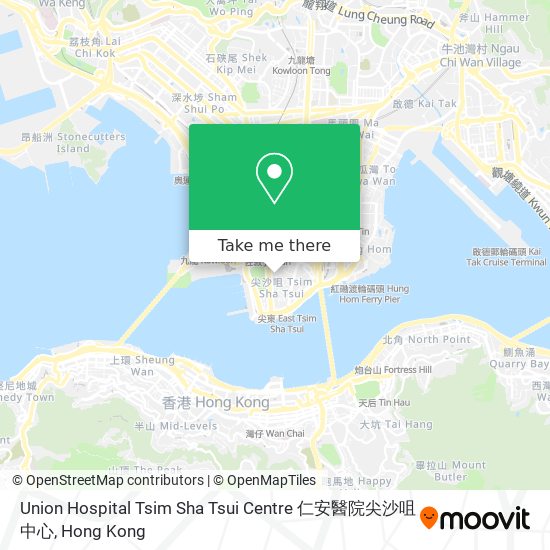 Union Hospital Tsim Sha Tsui Centre 仁安醫院尖沙咀中心 map