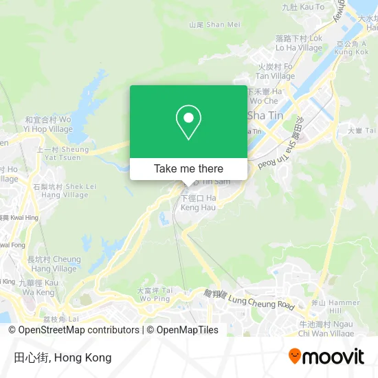 田心街 map