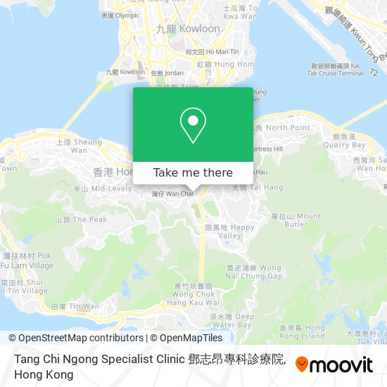 Tang Chi Ngong Specialist Clinic 鄧志昂專科診療院 map