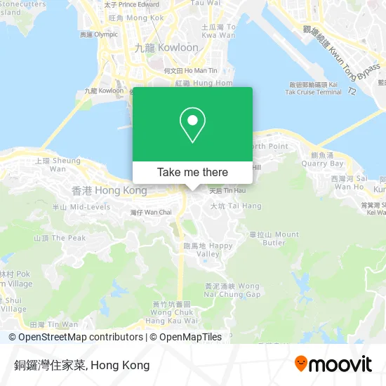 銅鑼灣住家菜地圖