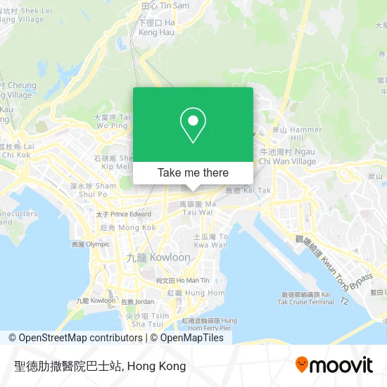 聖德肋撒醫院巴士站 map