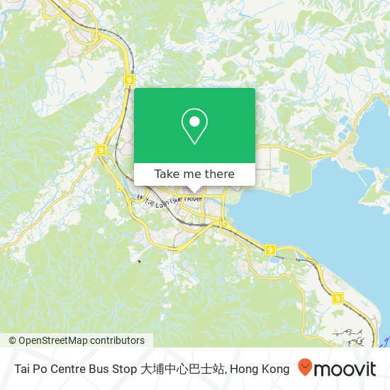 Tai Po Centre Bus Stop 大埔中心巴士站 map