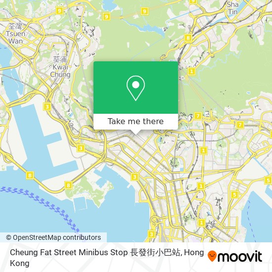 Cheung Fat Street Minibus Stop 長發街小巴站 map