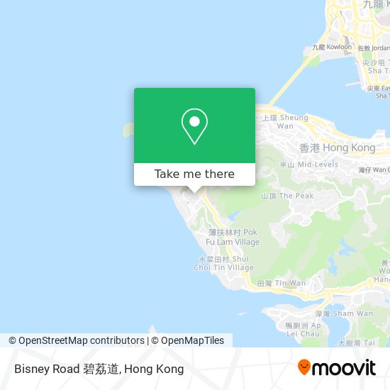 Bisney Road 碧荔道 map