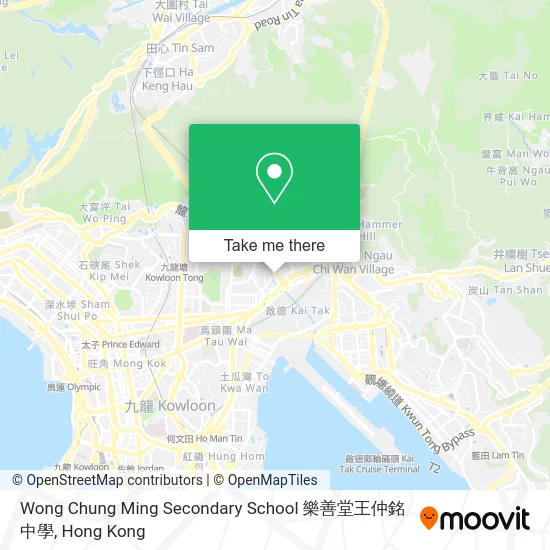 Wong Chung Ming Secondary School 樂善堂王仲銘中學 map