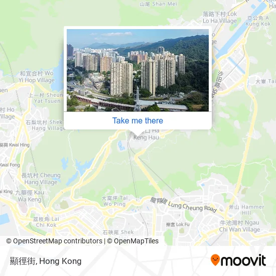 顯徑街地圖