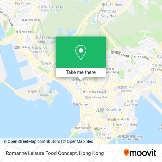 Romanne Leisure Food Concept map