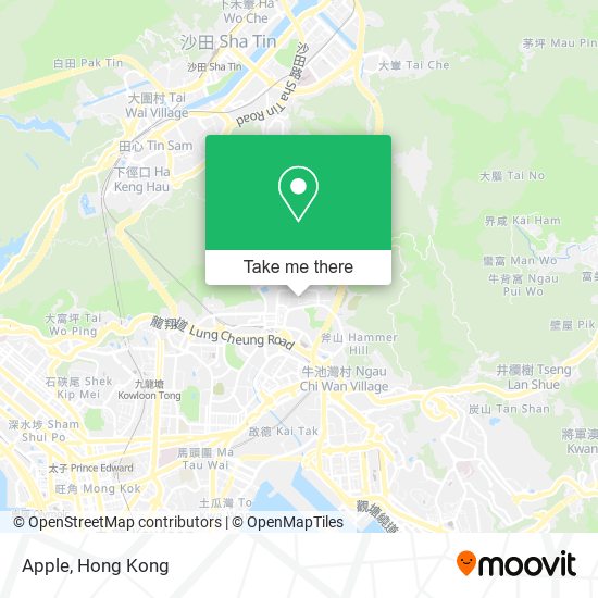 Apple map