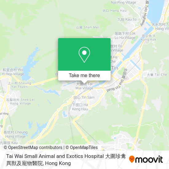 Tai Wai Small Animal and Exotics Hospital 大圍珍禽異獸及寵物醫院地圖