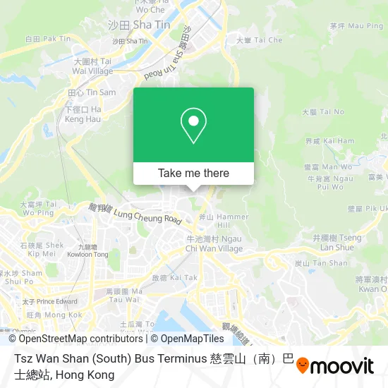Tsz Wan Shan (South) Bus Terminus 慈雲山（南）巴士總站 map
