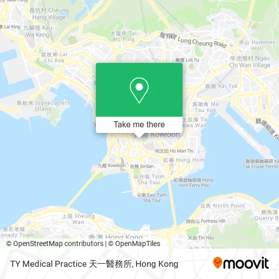 TY Medical Practice 天一醫務所地圖