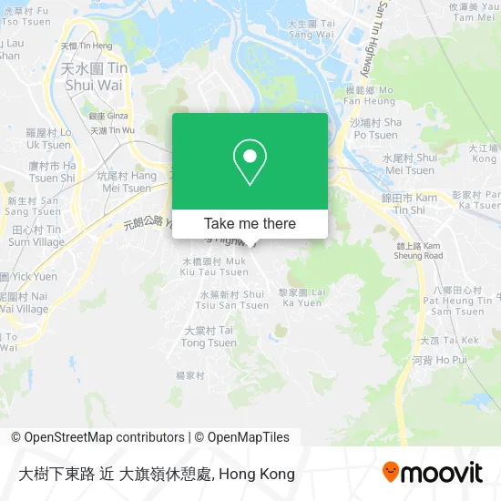 大樹下東路 近 大旗嶺休憩處地圖