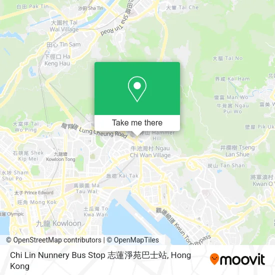 Chi Lin Nunnery Bus Stop 志蓮淨苑巴士站地圖