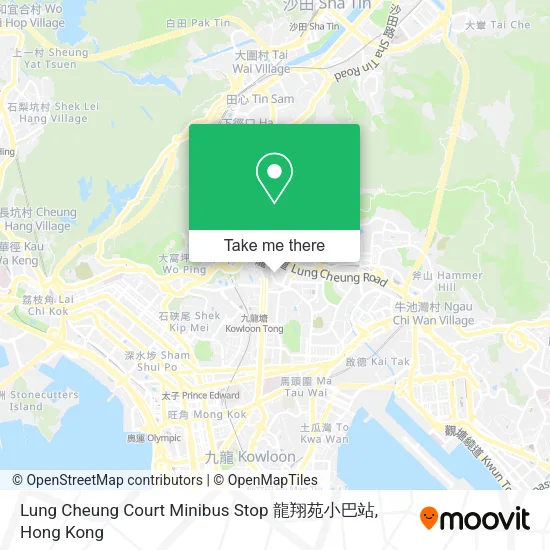 Lung Cheung Court Minibus Stop 龍翔苑小巴站 map