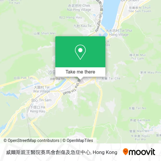 威爾斯親王醫院賽馬會創傷及急症中心地圖