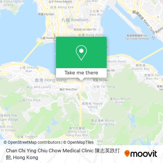 Chan Chi Ying Chiu Chow Medical Clinic 陳志英跌打館 map