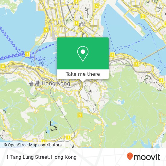 1 Tang Lung Street map