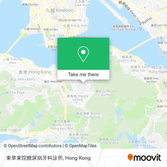 東華東院糖尿病牙科診所 map