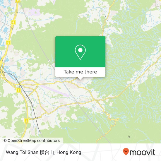 Wang Toi Shan 橫台山 map