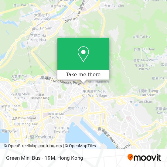 Green Mini Bus - 19M map