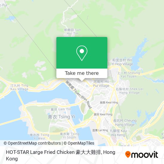 HOT-STAR Large Fried Chicken 豪大大雞排 map