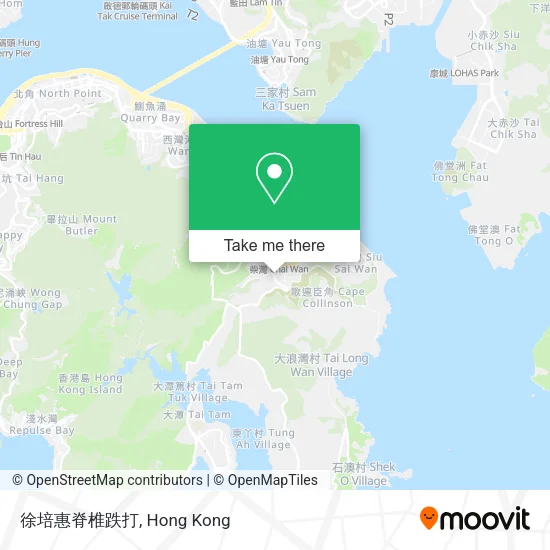 徐培惠脊椎跌打 map