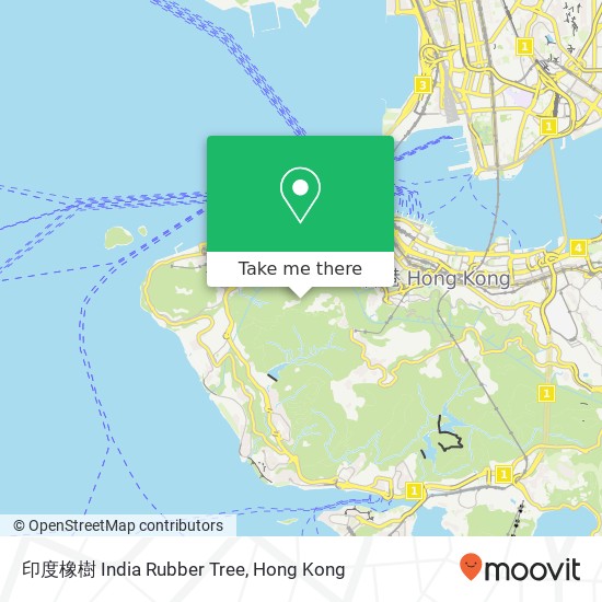 印度橡樹 India Rubber Tree map