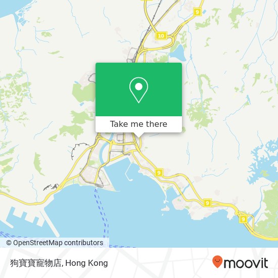 狗寶寶寵物店 map