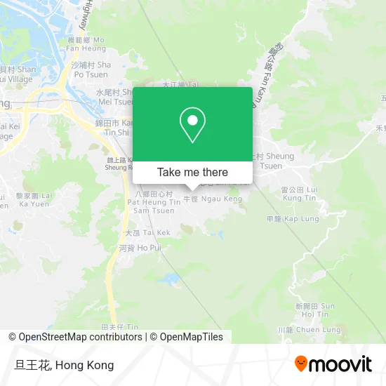 旦王花 map