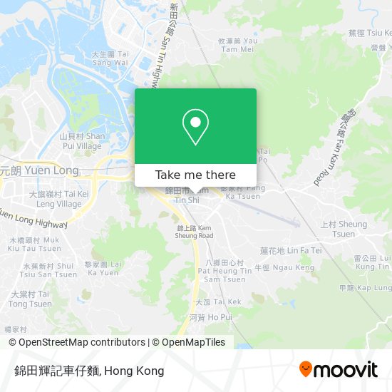 錦田輝記車仔麵 map