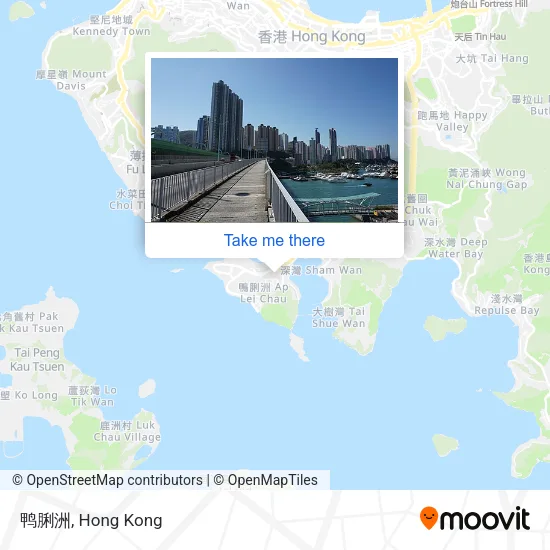 鸭脷洲 map