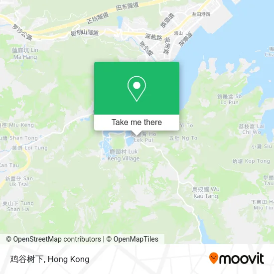 鸡谷树下地圖