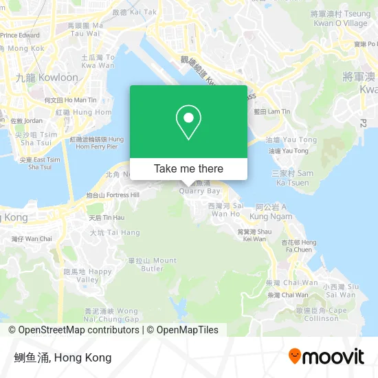 鲗鱼涌 map
