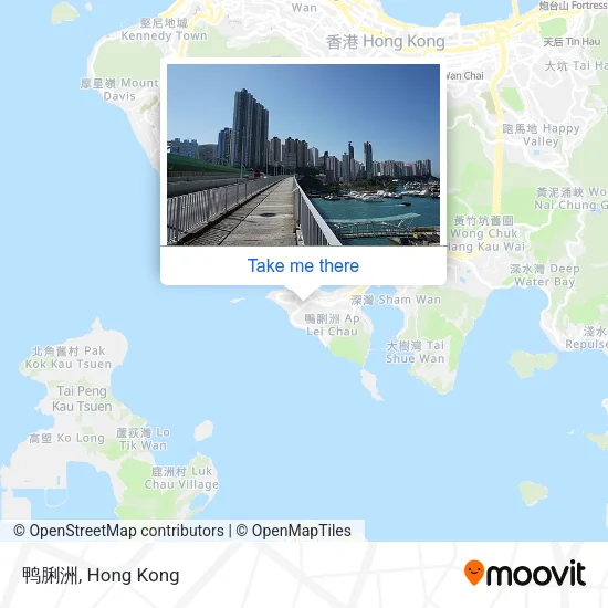 鸭脷洲 map