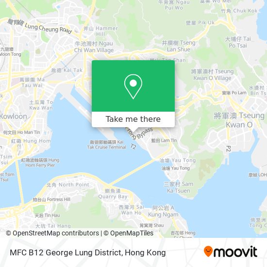 MFC B12 George Lung District map