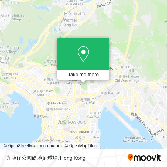 九龍仔公園硬地足球場地圖