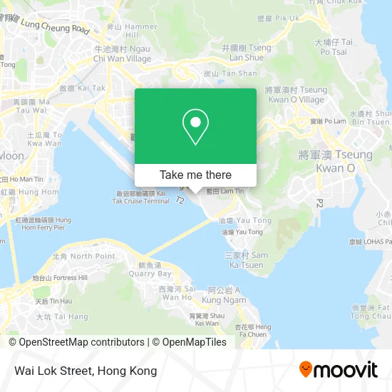 Wai Lok Street map